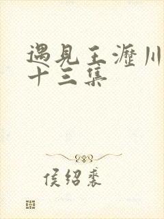 遇见王沥川第二十三集