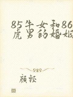 85牛女和86虎男的婚姻怎么样