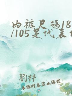 内裤尺码180/105是代表什么