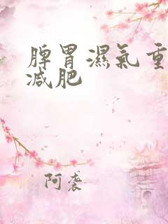 脾胃湿气重怎么减肥