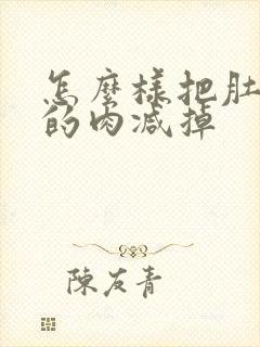 怎么样把肚子上的肉减掉