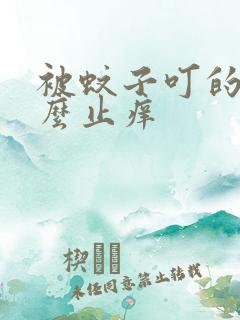 被蚊子叮的包怎么止痒