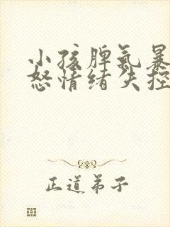 小孩脾气暴躁易怒情绪失控