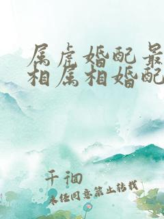 属虎婚配最佳属相属相婚配表