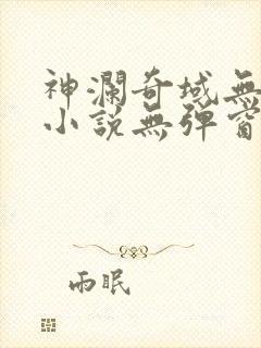 神澜奇域无双珠小说无弹窗