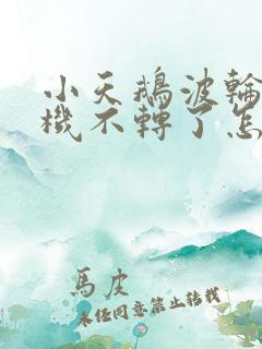 小天鹅波轮洗衣机不转了怎么回事