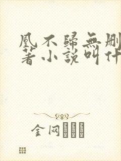 凰不归无删减原著小说叫什么名字