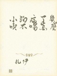 小狗病了几天不吃不喝怎么办