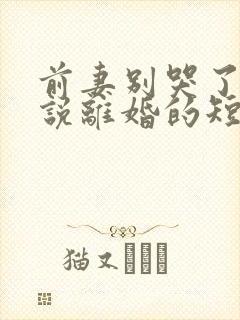 前妻别哭了是你说离婚的短剧下集