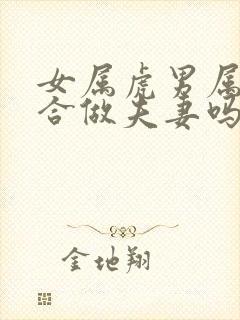 女属虎男属狗适合做夫妻吗