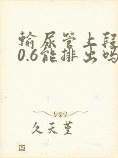 输尿管上段结石0.6能排出吗