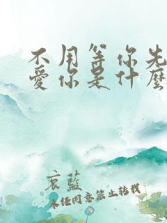 不用等你先说我爱你是什么歌