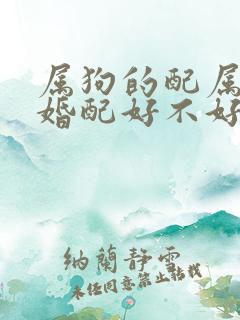 属狗的配属狗的婚配好不好