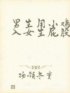 男生用小鸡鸡插入女生屁股里