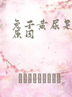 兔子黄尿是什么原因