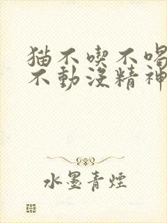 猫不吃不喝趴着不动没精神