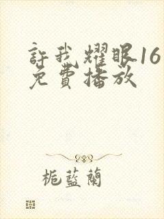 许我耀眼16集免费播放