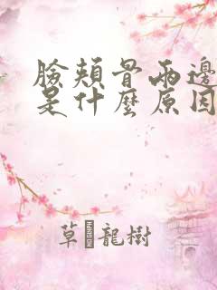 脸颊骨两边长斑是什么原因造成的