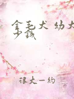 金毛犬 幼犬多少钱