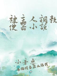 被主人调教当肉便器小说