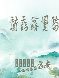 秋天公园发朋友圈的精美句子