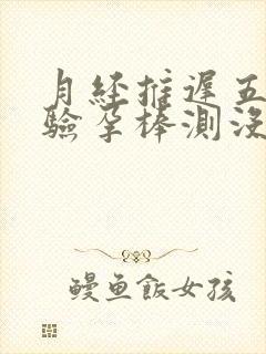 月经推迟五天了验孕棒测没有怀孕