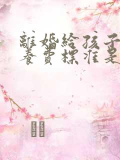 离婚给孩子的抚养费标准是多少