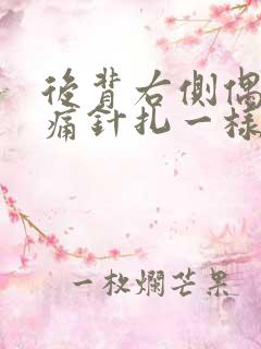 后背右侧偶尔刺痛针扎一样