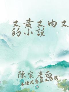 又黄又肉又刺激的小说