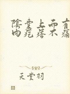 阴囊上面有个小肉疙瘩不痛不痒