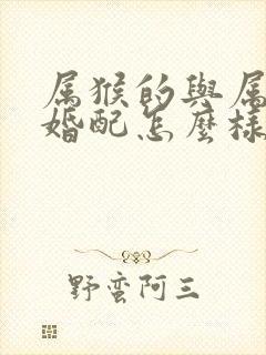 属猴的与属鸡的婚配怎么样