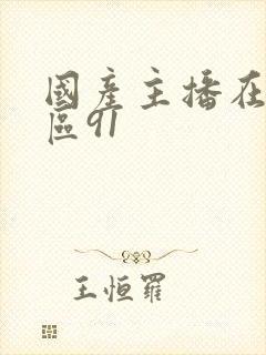 国产主播在线一区91