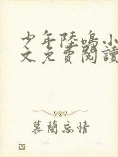 少年陆鸣小说全文免费阅读