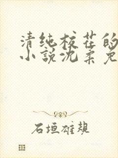 清纯校花的日常小说沈柔免费阅读