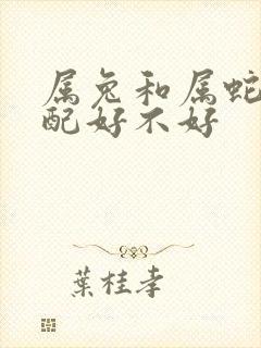 属兔和属蛇的婚配好不好