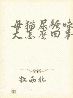 母猫尿骚味特别大怎么回事