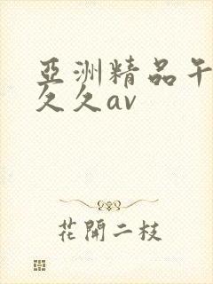 亚洲精品午夜久久久av