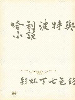 哈利波特与密室小说