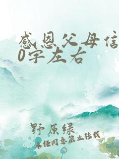 感恩父母信200字左右