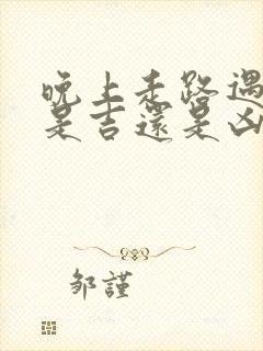 晚上走路遇到蛇是吉还是凶