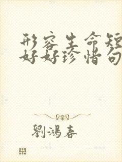 形容生命短暂要好好珍惜句子