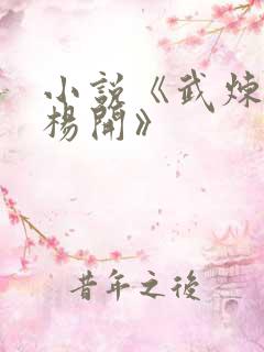 小说《武炼巅峰杨开》