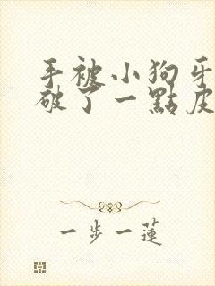 手被小狗牙齿划破了一点皮流血怎么办