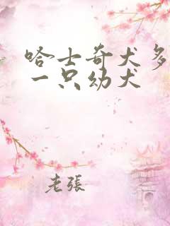 哈士奇犬多少钱一只幼犬