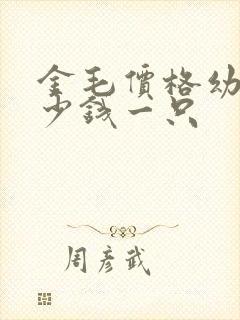 金毛价格幼犬多少钱一只