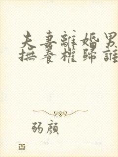 夫妻离婚男孩子抚养权归谁