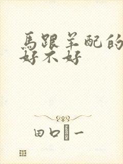 马跟羊配的婚姻好不好