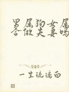 男属狗女属蛇适合做夫妻吗