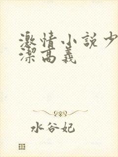 激情小说少妇白洁高义