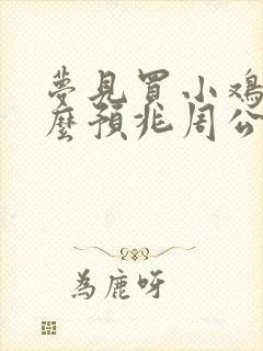 梦见买小鸡是什么预兆周公解梦